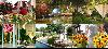 Internationale Gartenbaumesse Tulln 2017