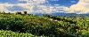 Grappa & Prosecco - Italien / Venetien