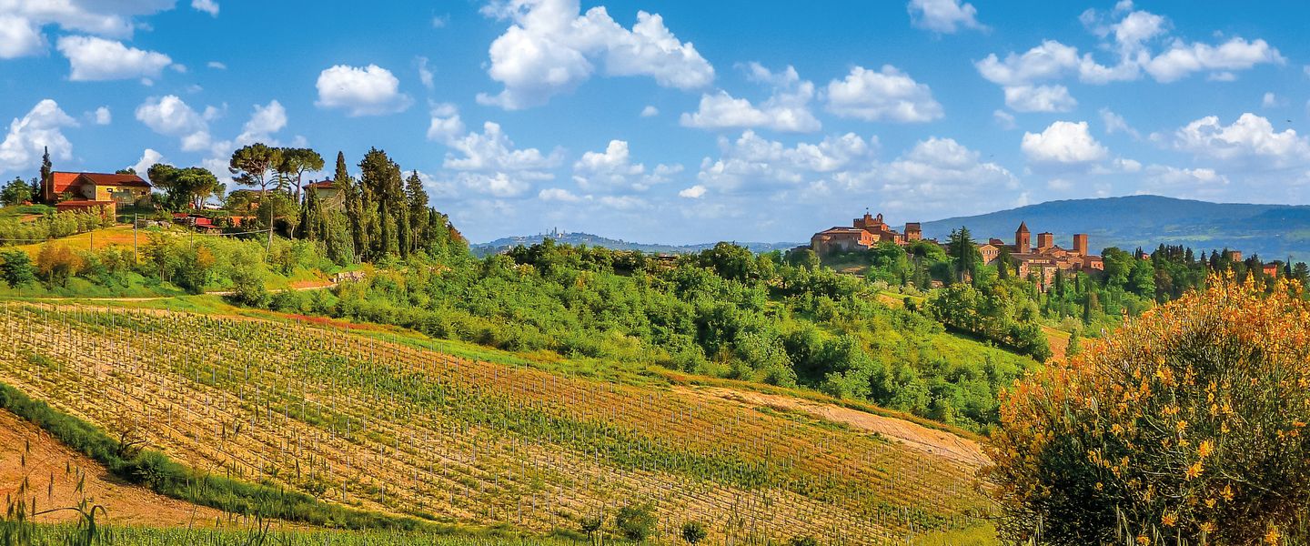 Goldener Herbst in der Toskana - Italien / Toskana