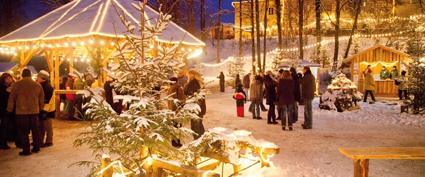 Die schönsten Weihnachtsmärkte rund um Regensburg - Deutschland / Bayern