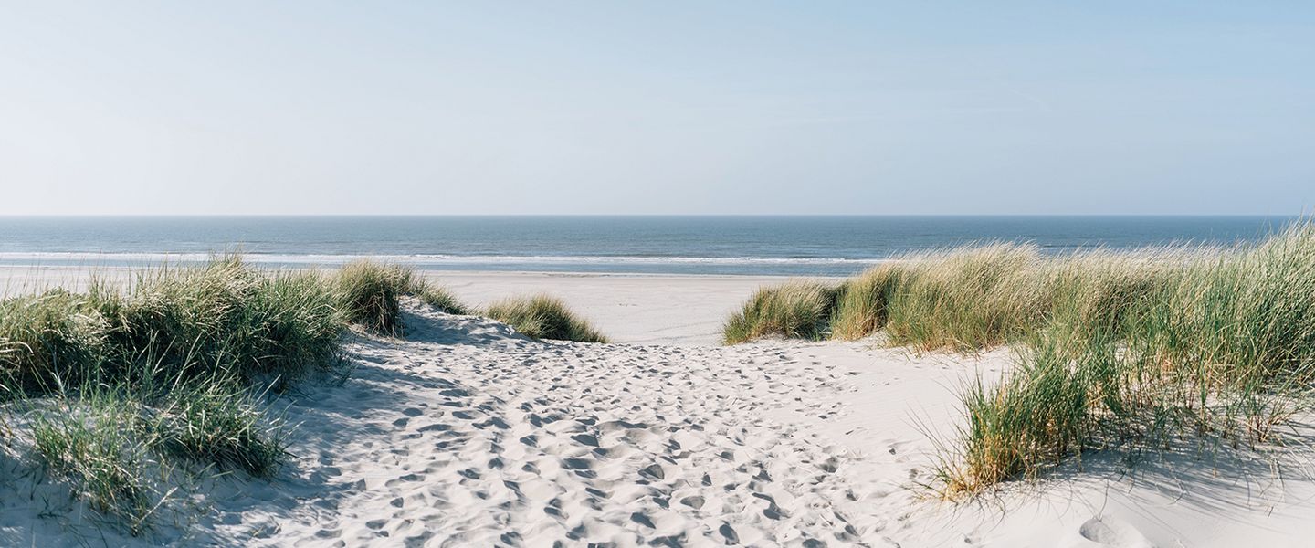Ostfriesland - Deutschland / Sachsen-Anhalt