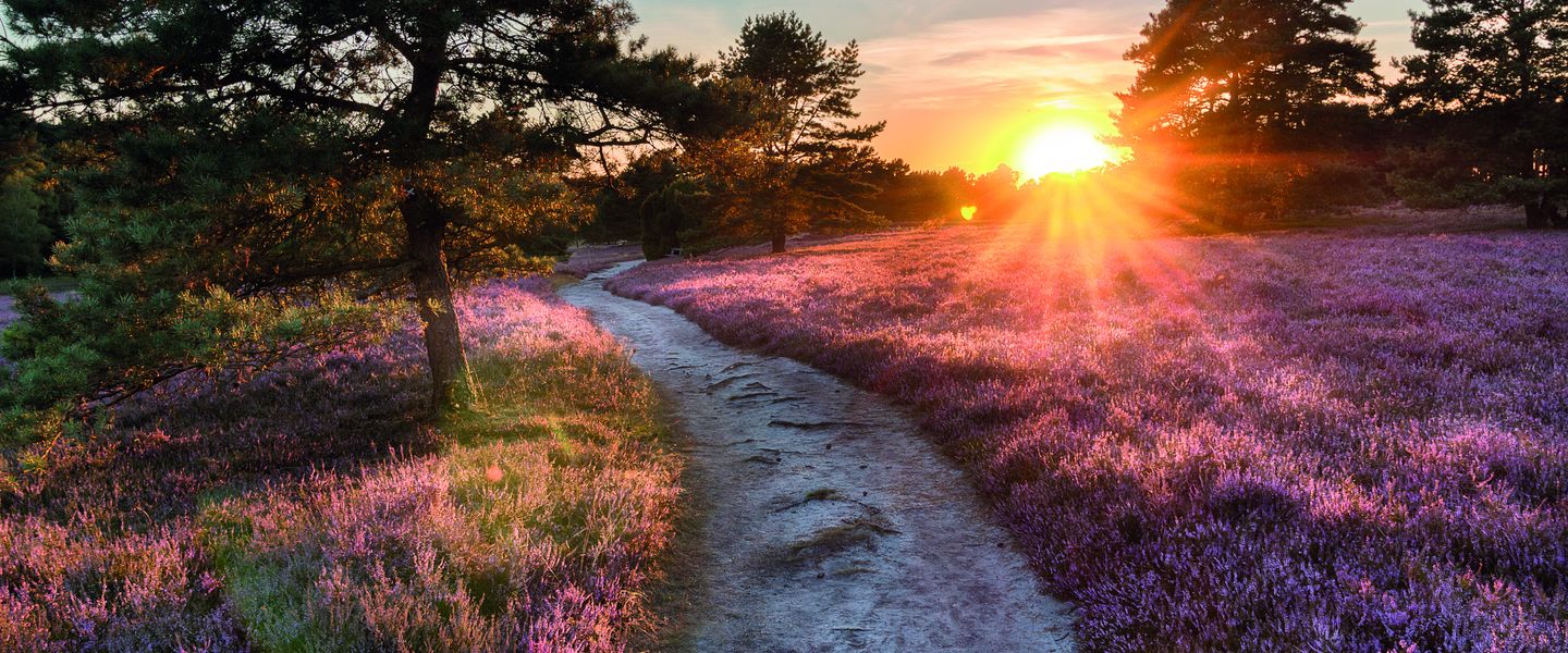 Von der Lüneburger Heide bis zur Nordsee - Deutschland / Hamburg