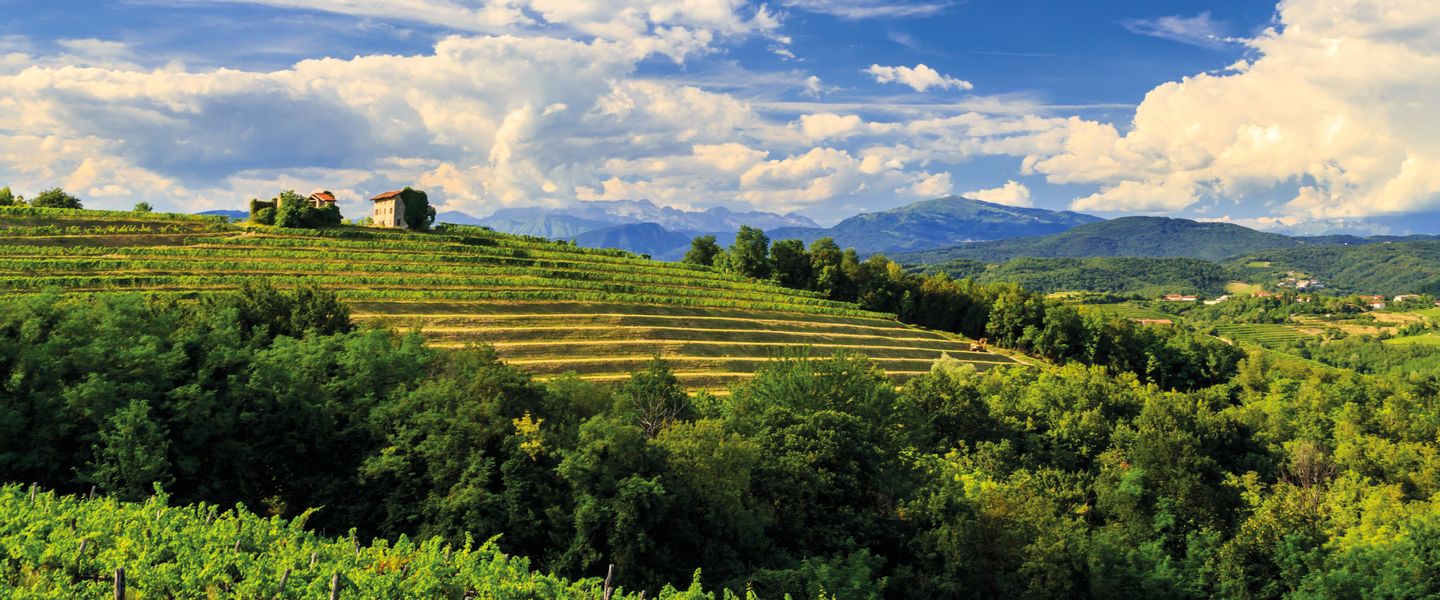 Grappa & Prosecco - Italien / Venetien