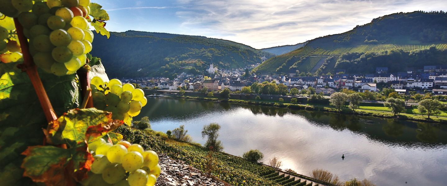 Rhein & Mosel - Deutschland / Rheinland-Pfalz